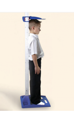 blp-006_1754394054-0407b027412648e589da60319f108b75.png