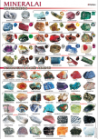 gpl-033_1644663766-e57004f4c8f1f92b4eccc8c99f9b3757.png