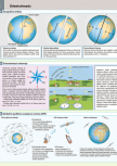 gtl_603_02_1643882296-482057fc47b3e148ce562c4e480e6ead.png