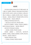 pps-719_02_1790313705-fc983bbe39be95049135ba5c58e18c01.png